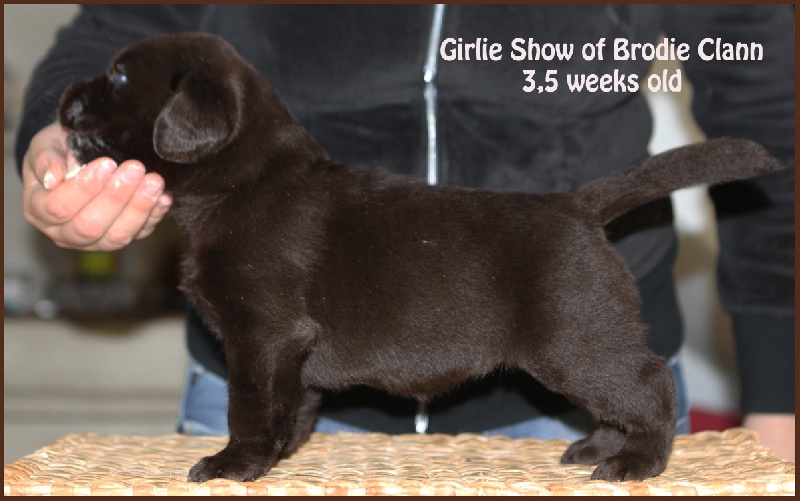 Girlie show Of Brodie Clann