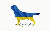  - Nous avons créé ce logo pour soutenir nos amis Ukrainiens